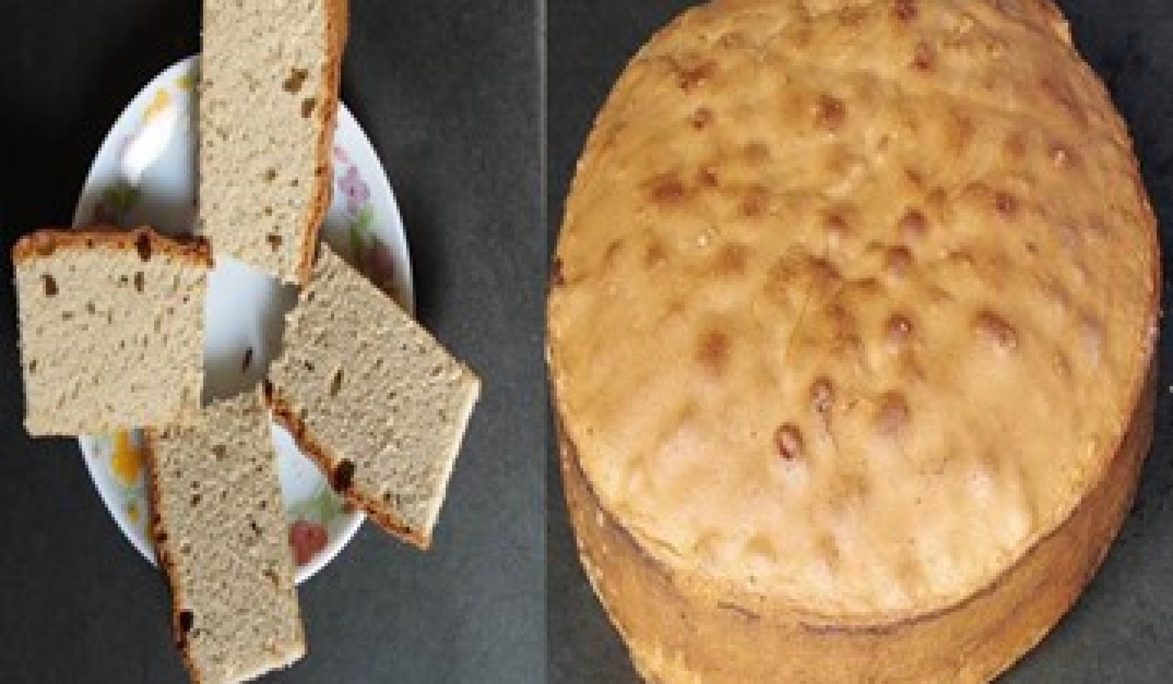 bagasse enriched cake