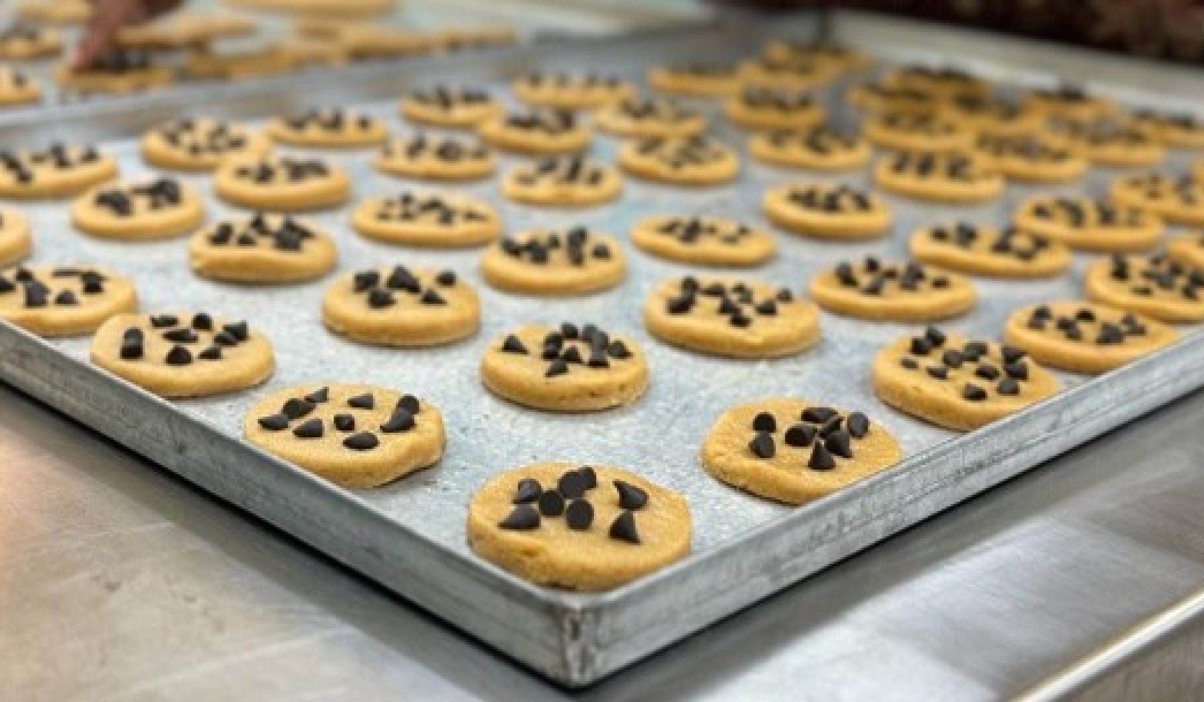 bagasse enriched cookies