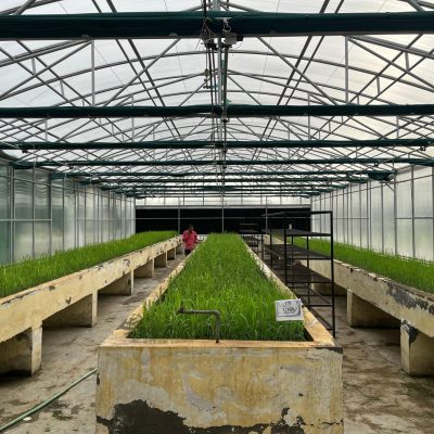 seed_portal_2